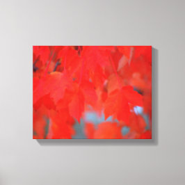 Rote Ahornkerne - Blätter im Herbst Leinwanddruck