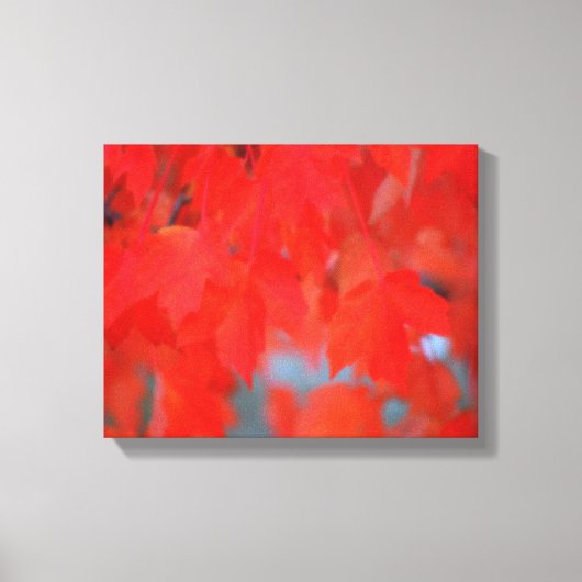 Rote Ahornkerne - Blätter im Herbst Leinwanddruck (Vorderseite)