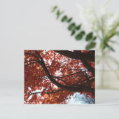 Rote Ahornzweige Herbstfarben Postkarte (Stehend Vorderseite)