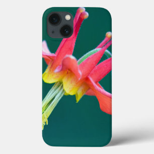 Rote Akelei Case-Mate iPhone Hülle