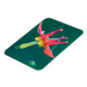 Rote Akelei Magnet (Linke Seite)