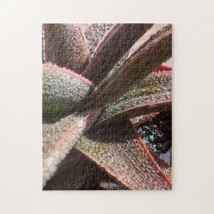 rote Aloe der saftigen Pflanze 11" x 14" PC 252 Puzzle