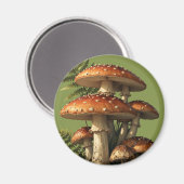Rote Amanita-Pilze mit Farn Botanisch Magnet (Vorderseite/Rückseite)
