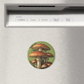 Rote Amanita-Pilze mit Farn Botanisch Magnet (In Situ (Geschirrspüler))