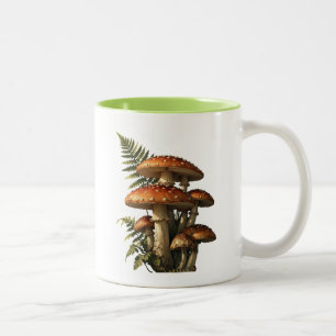 Rote Amanita-Pilze mit Farn Botanisch Zweifarbige Tasse