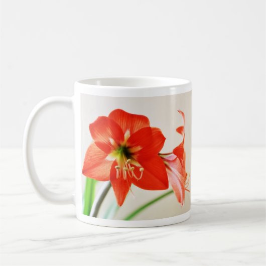 Rote Amaryllis-Blume Kaffeetasse (Links)