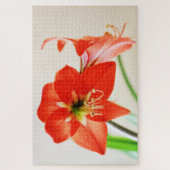 Rote Amaryllis-Blume Puzzle (Vertikal)