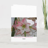 Rote Amaryllis, Ich denke an Dich Karte (Rückseite)