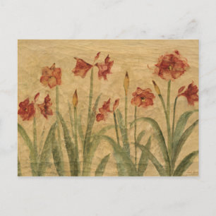 Rote Amaryllis Postkarte
