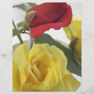 Rote Ameise Gelbe Rosen