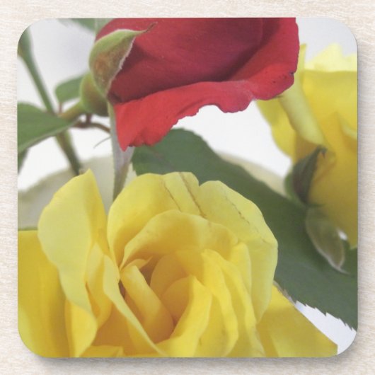 Rote Ameise Gelbe Rosen Getränkeuntersetzer (Vorderseite)