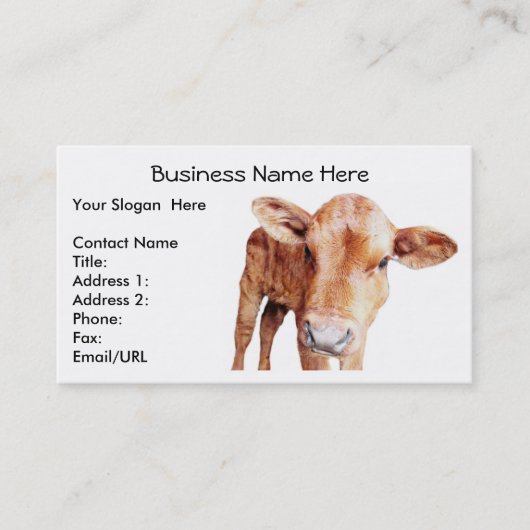 Rote Angus-Kuh-Visitenkarte-Schablone Visitenkarte (Vorderseite)