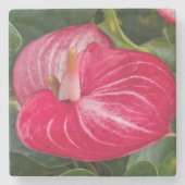 Rote Anthurien-Blüten-Blume Steinuntersetzer (Vorderseite)