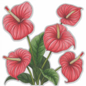 Rote Anthurienblüten mit grünen Blättern Aufkleber (Vorderseite)