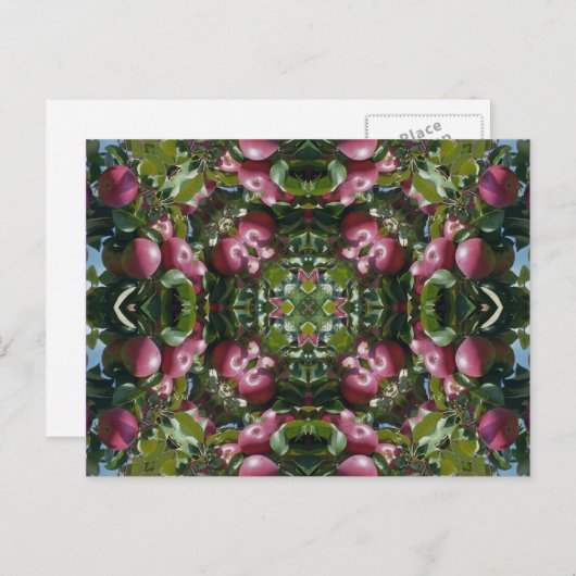 Rote Äpfel auf Baum-Kaleidoskop-Kunst Postcar Postkarte (Vorne/Hinten)