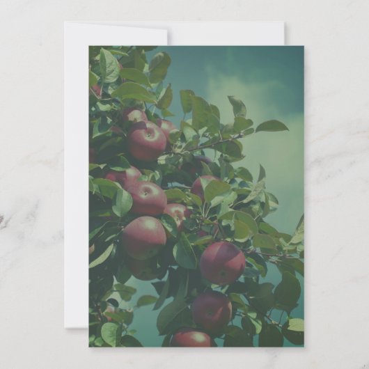 Rote Äpfel auf Baumart Einladung (Rückseite)