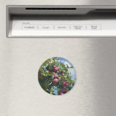 Rote Äpfel auf Baumart Personalisiert Magnet (In Situ (Geschirrspüler))