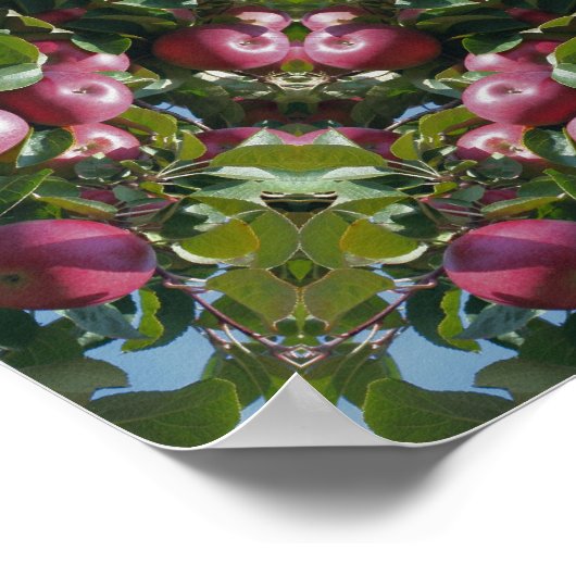 Rote Äpfel auf Baumart Poster (Ecke)