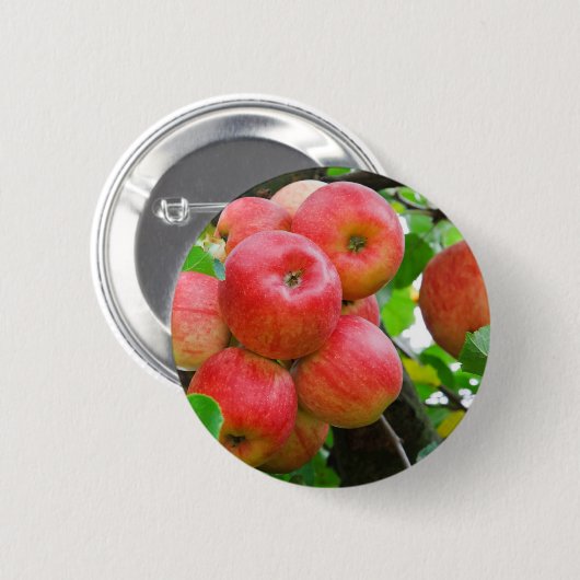 Rote Äpfel auf Bäumen Button (Vorne & Hinten)