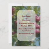 Rote Äpfel auf Baumhochzeit speichern das Datum Einladung (Vorderseite)