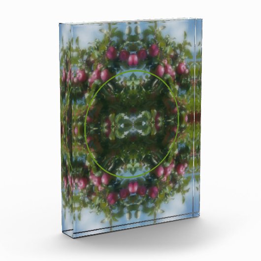 Rote Äpfel auf Baumkronenrahmen hinzufügen Fotoblock (Links)