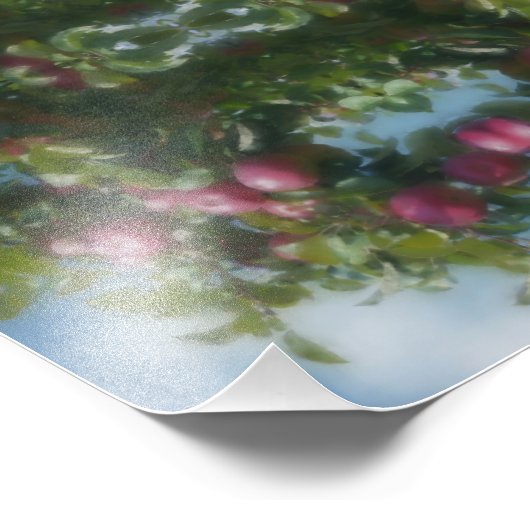 Rote Äpfel auf Baummalerei Abstrakt 8x10 Fotodruck (Ecke)