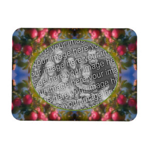 Rote Äpfel auf Baumrahmen hinzufügen Ihr Foto Magnet