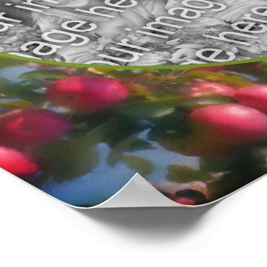 Rote Äpfel auf Baumrahmen hinzufügen Ihr Foto Poster (Ecke)