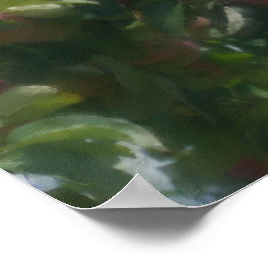 Rote Äpfel auf Foto gemalt Poster (Ecke)