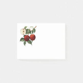 Rote Äpfel Botanischer Lehrer Name 4x3 Post-it Klebezettel