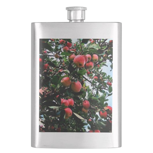 Rote Äpfel Flachmann (Vorderseite)