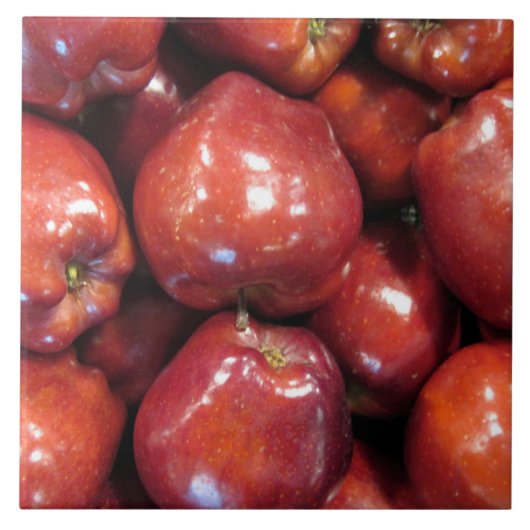 Rote Äpfel Große (6" x 6") Keramik Foto Tile Fliese (Vorderseite)
