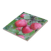 Rote Äpfel im Baum Fliese (Seite)