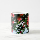 Rote Äpfel Kaffeetasse (Mittel)