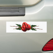 Rote Äpfel mit Aquarellfarbe Autoaufkleber (Auf Auto)