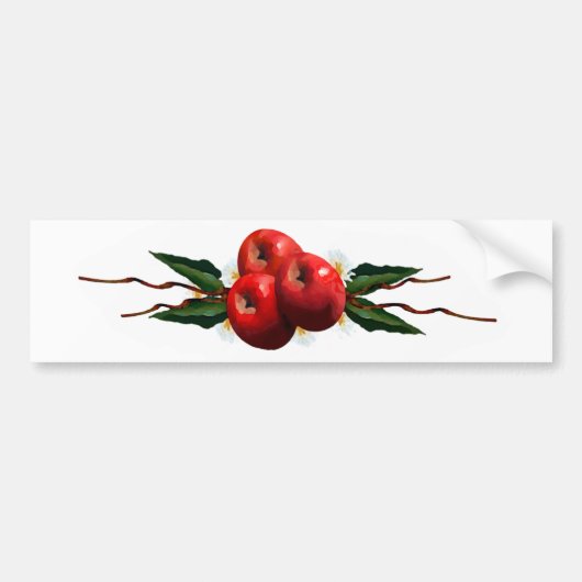 Rote Äpfel mit Aquarellfarbe Autoaufkleber (Vorne)