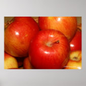 Rote Äpfel Poster (Vorne)