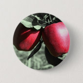 Rote Apfel-Schwarzweiss-Knopf Button (Vorderseite)