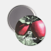 Rote Äpfel sind anders Motivierend Magnet (Vorderseite/Rückseite)