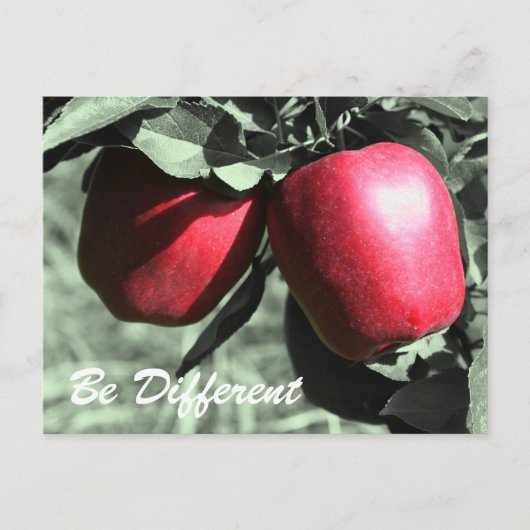 Rote Äpfel sind eine andere inspirierende Postkart Postkarte (Vorderseite)