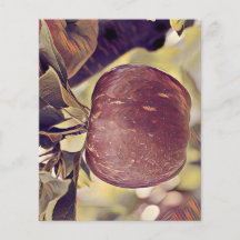 Rote Apfelfrucht und Blätter Aquarell fallen