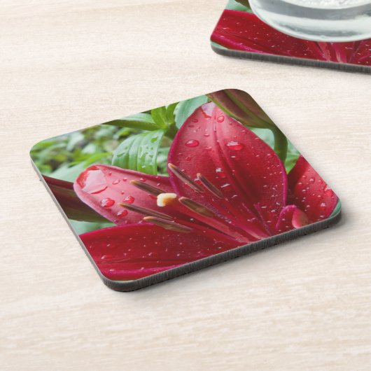 Rote Asiatische Lilie mit Buds Untersetzer (Linke Seite)