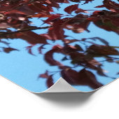 rote Äste unter blauem Himmel Poster (Ecke)