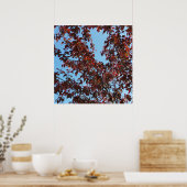 rote Äste unter blauem Himmel Poster (Küche)
