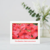 Rote Azalea-Blume Abschluss-Ankündigung Ankündigungspostkarte (Stehend Vorderseite)