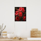 Rote Azalea Blume Art Print Poster (Küche)