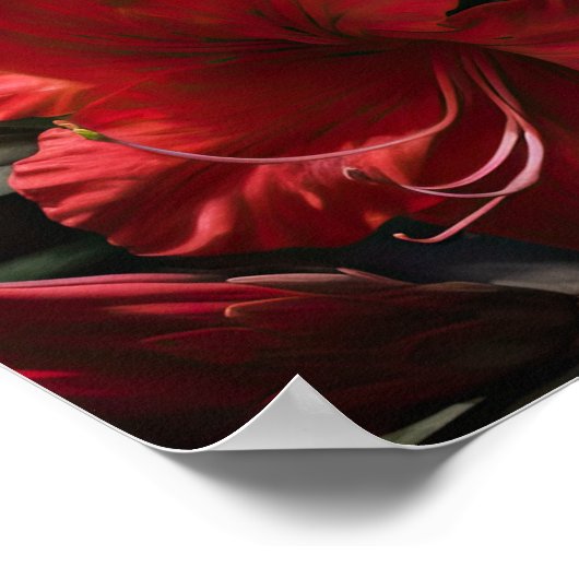 Rote Azalea Blume Art Print Poster (Ecke)