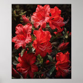 Rote Azalea Blume Art Print Poster (Vorne)