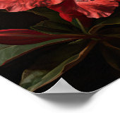 Rote Azalea Blume Art Print Poster (Ecke)