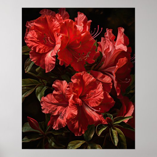 Rote Azalea Blume Art Print Poster (Vorne)
